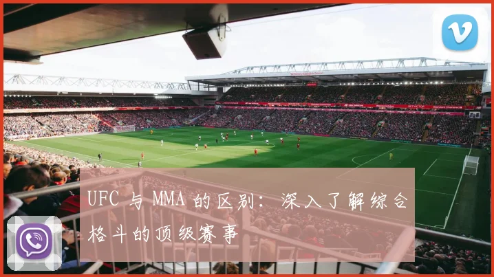 UFC 与 MMA 的区别:深入了解综合格斗的顶级赛事
