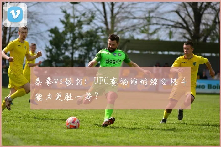 泰拳vs散打:UFC赛场谁的综合格斗能力更胜一筹?