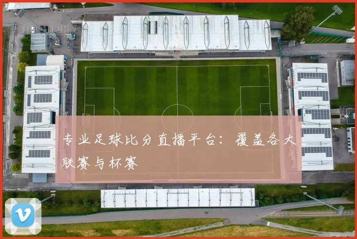 专业足球比分直播平台：覆盖各大联赛与杯赛