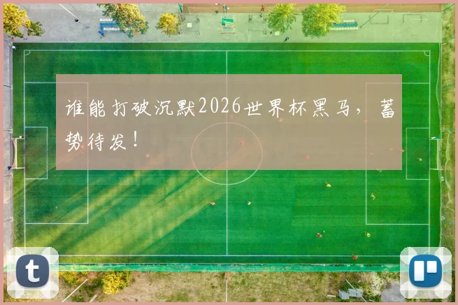 谁能打破沉默2026世界杯黑马，蓄势待发！