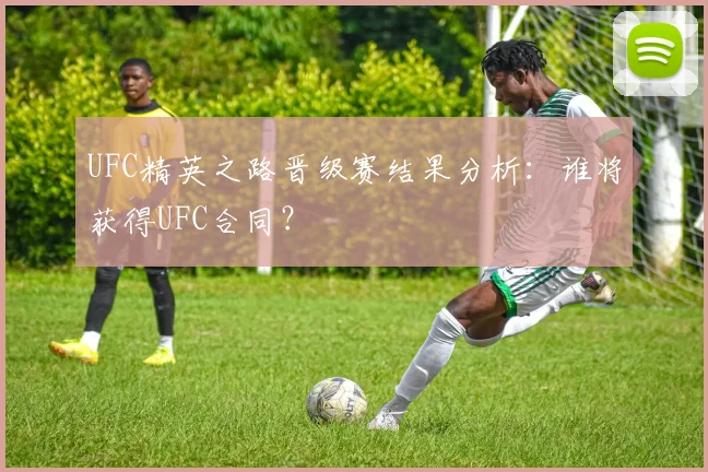 UFC精英之路晋级赛结果分析：谁将获得UFC合同？