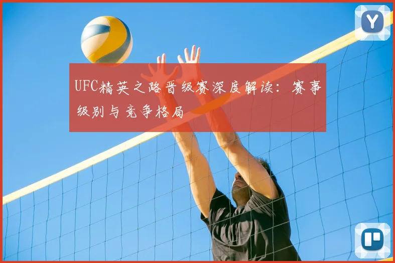 UFC精英之路晋级赛深度解读：赛事级别与竞争格局