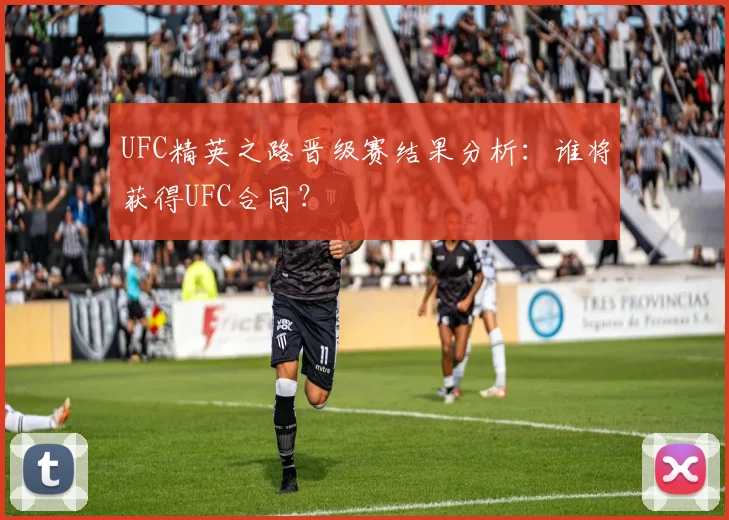 UFC精英之路晋级赛结果分析：谁将获得UFC合同？