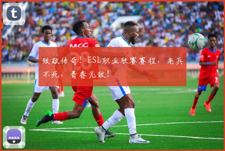 致敬传奇！ESL职业联赛赛程，老兵不死，青春无敌！
