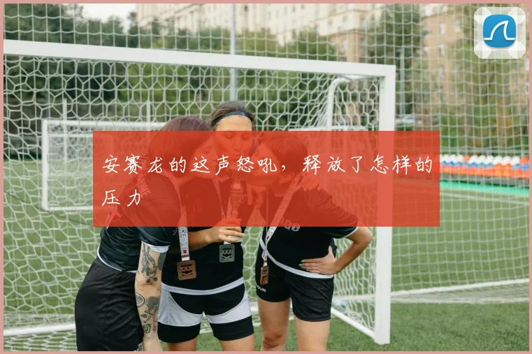 安赛龙的这声怒吼，释放了怎样的压力