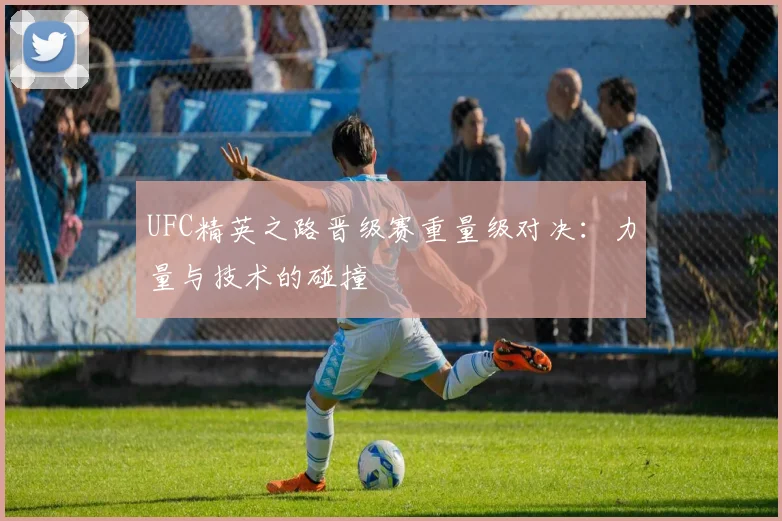 UFC精英之路晋级赛重量级对决：力量与技术的碰撞