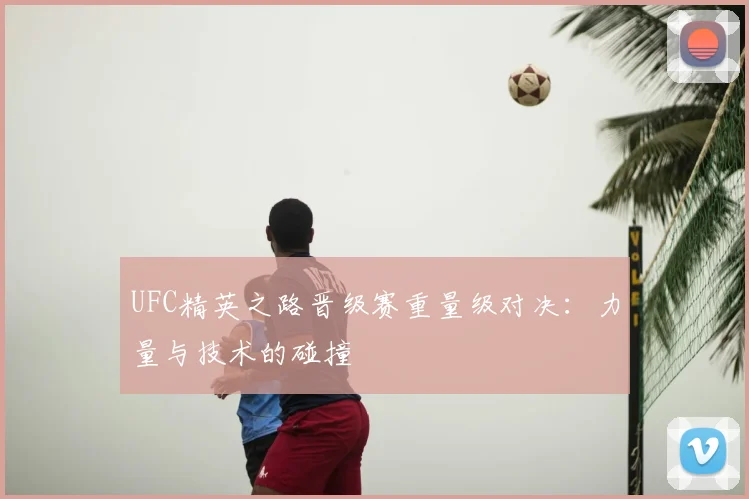 UFC精英之路晋级赛重量级对决：力量与技术的碰撞
