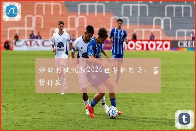谁能打破沉默2026世界杯黑马，蓄势待发！