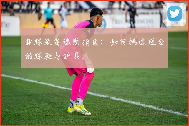 排球装备选购指南:如何挑选适合的球鞋与护具