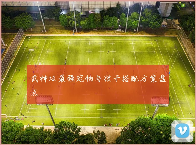 武神坛最强宠物与孩子搭配方案盘点